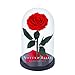 Premium Rose éternelle sous Cloche 27cm (Rouge). « Bonita » Fleur Quality, La Belle et la Bête Rose. Idée Cadeau pour Saint Valentin, Mariage Anniversaire Fête des Mères, Décoration