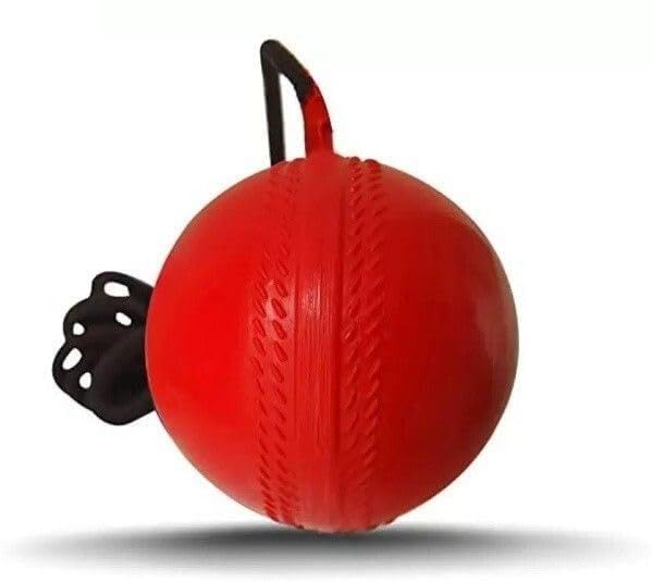 Knocking Ball for Practice, Training, Match for All Age Group Cricket Leather Ball (Pack of 1)-image-38