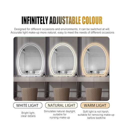 Miroir sans cadre design œuf d'oie 40 x 60 cm miroir haute définition
