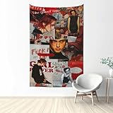 Meresysid Tapestry Troye Musics Sivan Wall Hanging Tapestry Poster Art for Living Room Bedroom Dorm Room Home Party Decor 40 * 60 inch