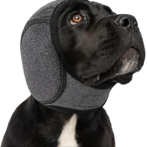 ybgJo[ĐjhwbhJo[hȂ߂wbhJo[тh~ (O[,S)