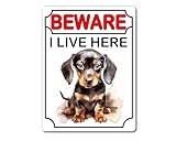 Photo Gallery decalarama targa in metallo con bassotto – beware i live here – simpatico cane divertente regalo in alluminio Photo Gallery decalarama targa in metallo con bassotto – beware i live here – simpatico cane divertente regalo in alluminio