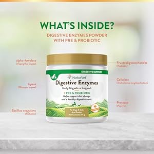   NaturVet--Digestive-Enzymes-for-Dogs-Plus-Probiotics-Prebiotics-Helps-Support-Diet-Change-A-Healthy-Digestive-Tract-for-Dogs-Cats-4-oz-Powder