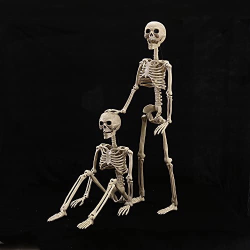 HBSTK 2 Pack 40 Inches Halloween Skeleton Full Body Posable Movable Jonints for Halloween Decoration Décor4