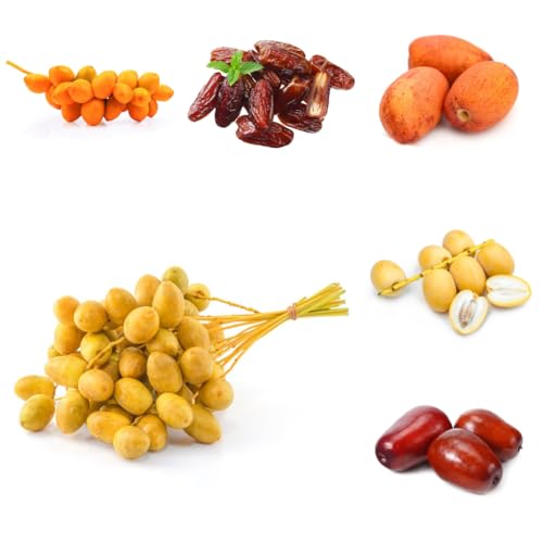 semi di palma da datteri - palma da datteri - datteri sementi biologiche, sementi di antiche varietà da datteri in crescita 25pcs