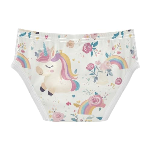 Wusikd Cute Unicorn Boys' Underwear Cotton Rainbow Roses Boys Briefs Soft Toddler Underwear 2T2