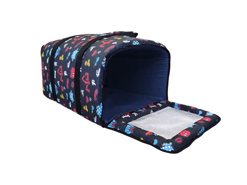 Transporte Avião AZ - Disney