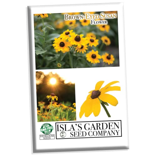Brown-Eyed Susan Flower Seeds For Planting, 3000+ Seeds Per Packet, (Isla's Garden Seeds), Non Gmo & Heirloom Seeds, Scientific Name: Rudbeckia Triloba, Great Home Flower Garden Gift #TOP7