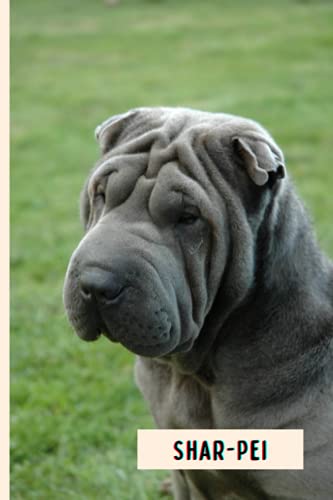  Shar-Pei: Composition Notebook For Shar-Pei Dogs Lovers , Shar-Pei Lined Journal ,6x9 Inches , 110 Pages ,Shar-Pei Diary