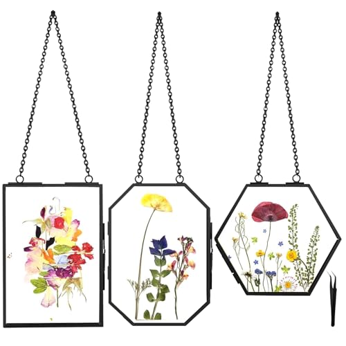 FOCHIER F Hanging Pressed Flower Frames 3Pcs Double Glass Floating Picture Frame Handmade Glass Frame for Pressed Flowers Vintage Brass Picture Frame for Artwork Wall Display Mount Black