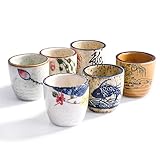 Whitenesser Japanese Style Ceramic Sake Cups Set of 6, Hand-Painted Ceramic Sake Glasses for Saki, Tea...