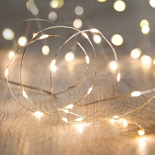 ECVV LED Fairy String Lights 10Ft/3M 30leds Firefly String Lights Garden Home Party Wedding Festival Decorations Crafting Battery Operated Lights(Warm White)