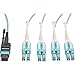 TRIPP LITE N844-05M-8LC-PT 16-Feet Fan-Out Cable Push/Pull Tab MTP/MPO to 8 x LC 40Gbase OM3 Plenum Aqua