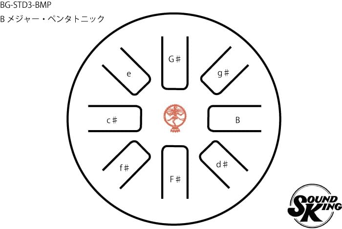 Amazon.co.jp: 【澄みわたる音の粒】SOUND KING サウンドキング