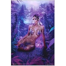 Paradise Garden by Daveed Benito Poster - 24.5 x 36.5 Laminated