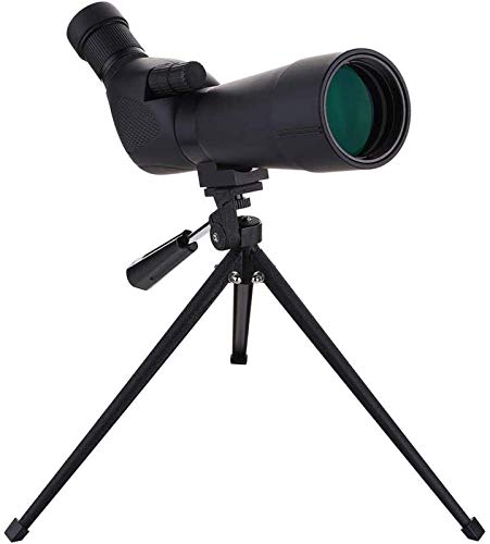 Monoculaire zoom étanche pour observation des oiseaux et nature