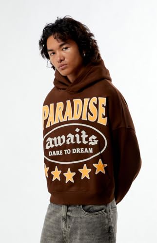 PacSun Men's Paradise Awaits Cropped Hoodie2