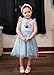 Disney Frozen Elsa Anna Toddler to Teen Girl Dresses Ruffle Short Sleeve Tutu Sparkle Tulle Skirt Summer Mesh Clothes Birthday Party Gift Theme Park Costume Casual Outfit Holiday Decoration Blue 4-5T