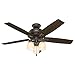 Hunter Fan Company, 53336, 52 inch Donegan Onyx Bengal Ceiling Fan with LED Light Kit and Pull Chain