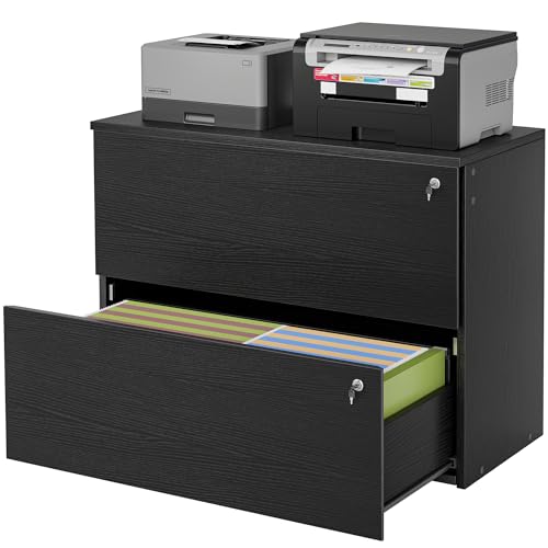 TIQLAB 2 Drawer Mobile File Cabinet, Filing Cabinet Home Office for Letter, Legal, A4 Size, Under Desk Lateral File Cabinet, Black