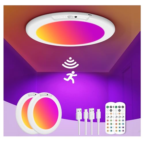 ORYAR 2 Pack Rechargeable Motion Sensor Ceiling Light with Remote,