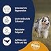 DR.CLAUDER'S - Intestinal Diät | Leicht verdauliches Nassfutter für ausgewachsene Hunde mit Magen- und Darmempfindlichkeit. Alleinfutter in Dose | 400g Huhn&Reis