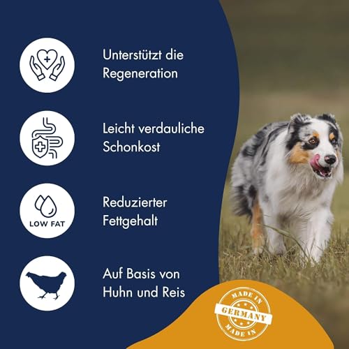 DR.CLAUDER'S - Intestinal Diät | Leicht verdauliches Nassfutter für ausgewachsene Hunde mit Magen- und Darmempfindlichkeit. Alleinfutter in Dose | 400g Huhn&Reis