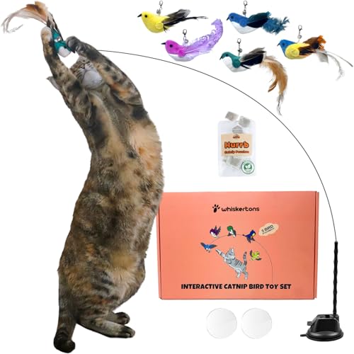 Whiskertons Interactive Bird Simulation Cat Toy Set Interactive Cat Toys for Indoor Cats Cat Feather Toy Self-Holding Suction Cup 5 Catnip Birds Feathers Bells (Catnip Bird Toy Set with 5 Birds)