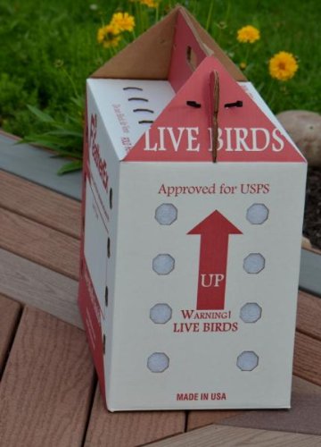 2 Pack FeatherEx Premier Shipping Boxes