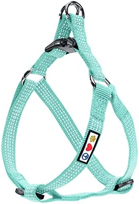 Pawtitas Reflective Step in Dog Harness or Reflective Vest Harness, Comfort Control, Training Walking of Your Puppy/Dog Extra Small Dog Harness XS Teal Dog Harness