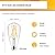 Hizashi LED Edison Bulbs, 6W, Equivalent 60W, Dimmable E26 LED Bulb, 3000K Soft White, 95+ CRI 700 Lumens, ST19 Vintage Light Bulbs, Clear Glass, Pack of 4