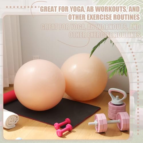 Image of Leyndo 4 Pcs 26 Inch Yoga Exercise Ball Pilates Pregnancy Birthing Fitness Ball with Quick Pump Anti Burst for Improved Posture, Balance, Yoga, Pilates, Training