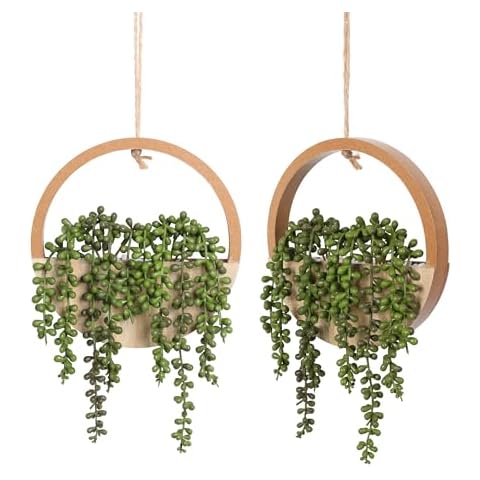 Floweroyal 2pcs Artificial Succulents Cover