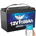Elfhub 12V 100AH LiFePO4 Lithium Battery with Bluetooth, Max.1280Wh Energy, Low Temperature Protection, Group 31, Built-in 100A BMS, Perfect for Trolling Motor, RV, Boat, Solar Off-Grid