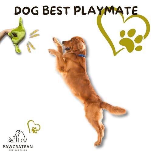 Pawcratean Brinquedo de pelúcia confortável para cães de 30 cm com estilo dinossauro Squeaker para b