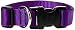 LupinePet 1-Inch Purple 12-20-Inch Adjustable Dog Collar for Medium and Large Dogs