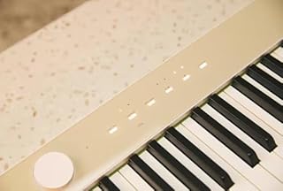 Casio PX-S1100 Privia Digital Piano - Mellow Beige Bundle with Adjustable Stand, Bench, Sustain Pedal, Instructional Book, Austin Bazaar Instructional DVD, and Polishing Cloth