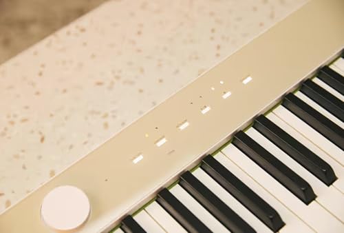 Casio PX-S1100 Privia Digital Piano - Mellow Beige Bundle with Adjustable Stand, Bench, Sustain Pedal, Instructional Book, Austin Bazaar Instructional DVD, and Polishing Cloth