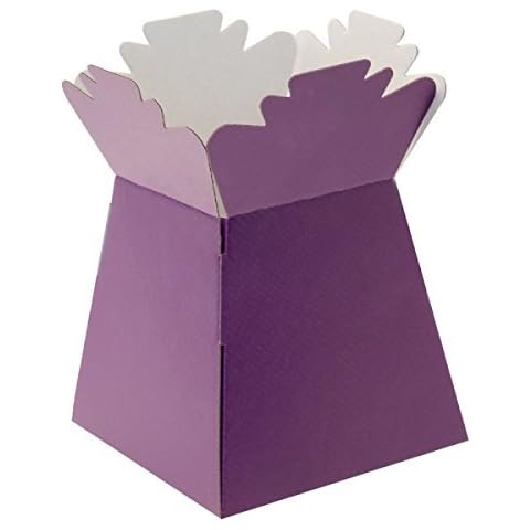 APAC Purple Living Vase Flower Box Flower Bouquet Transporter, Sweet Tree Box Cover