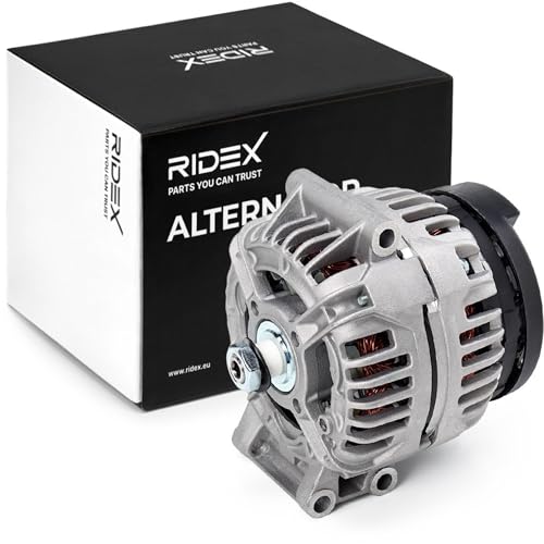 RIDEX Alternateur 14V, 100A, 2310000QBC 6001548061 6601548061 Compatible avec RENAULT Clio II 3/5 portes BB, CB, BB0/1/2, CB0/1/2 Kangoo I KC, KC0/1 Kangoo I...