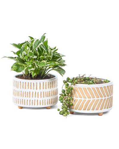 Fayoula 多肉植物ポット 6インチ 多肉植物 プランター 排水穴付き セラミックプランター 屋内植物用 丸型 浅型植木鉢 2個セットの商品画像（Amazon）