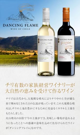 勝利を目指してダンシングフレーム sp 楽天市場】サクラアワード2024 銀賞受賞 ルイスフェリペエドワーズ