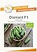 Produktbild Bio-Gurkensamen Diamant F1 Einlegegurke Portion