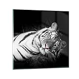 Nos tableaux déco ARTTOR peuvent décorer littéralement n’importe quelle pièce. Grâce à l'utilisation d'encres de haute qualité, nous obtenons une profonde saturation des couleurs, et l'image combinée au verre obtient un effet 3D étonnant. Le tableau en verre est prêt à être suspendu au mur. Il est équipé d'un support métallique permettant une installation pratique et d'entretoises en mousse. Les produits ARTTOR sont une nouvelle tendance en matière de design d'intérieur appelée wall art.