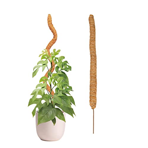 Ax |x RɋȂ X^[pX|[ XeϗtA |gX wS RRXeBbN x AT|[g VRRRibcf 鐫Ap t[x K[fjO t[X^h Ԏx xI Ax