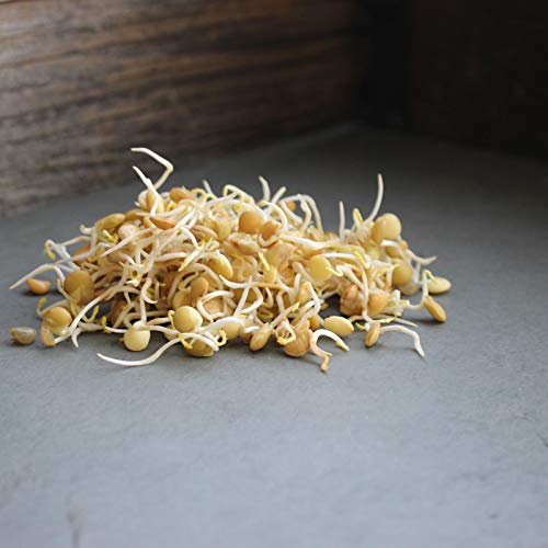 Organic Dried Green Lentil Sprouting Seed: 8 Oz - Dry Lentils For Planting Garden Seeds, Soup, Cooking Or Sprout Salad, Sprouts #TOP2