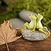 Top Collection Miniature Fairy Garden and Terrarium Statue, Frog Friends on Stone