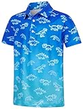 RAISEVERN Polo Shirts for Boys Golf Shirts Size 8 Collared Performance Dinosaur Tops Kids Dry Fit Gradient Colors Short Sleeve