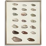 Retro Seashells Wall Art Cute Summer Art Print Vintage Larousse Illustration, Sea Life Wall Decor, Housewarming Gift, Sea Star, Shell Poster Trendy Beach House Decor, Coastal Wall Art(UNFRAMED 8x10in)
