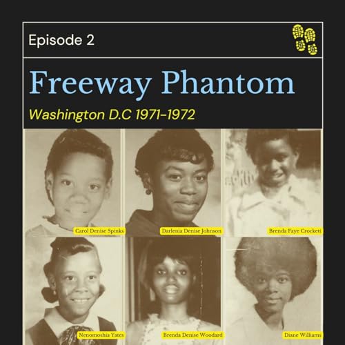 Episode 2: The Freeway Phantom Murders copertina